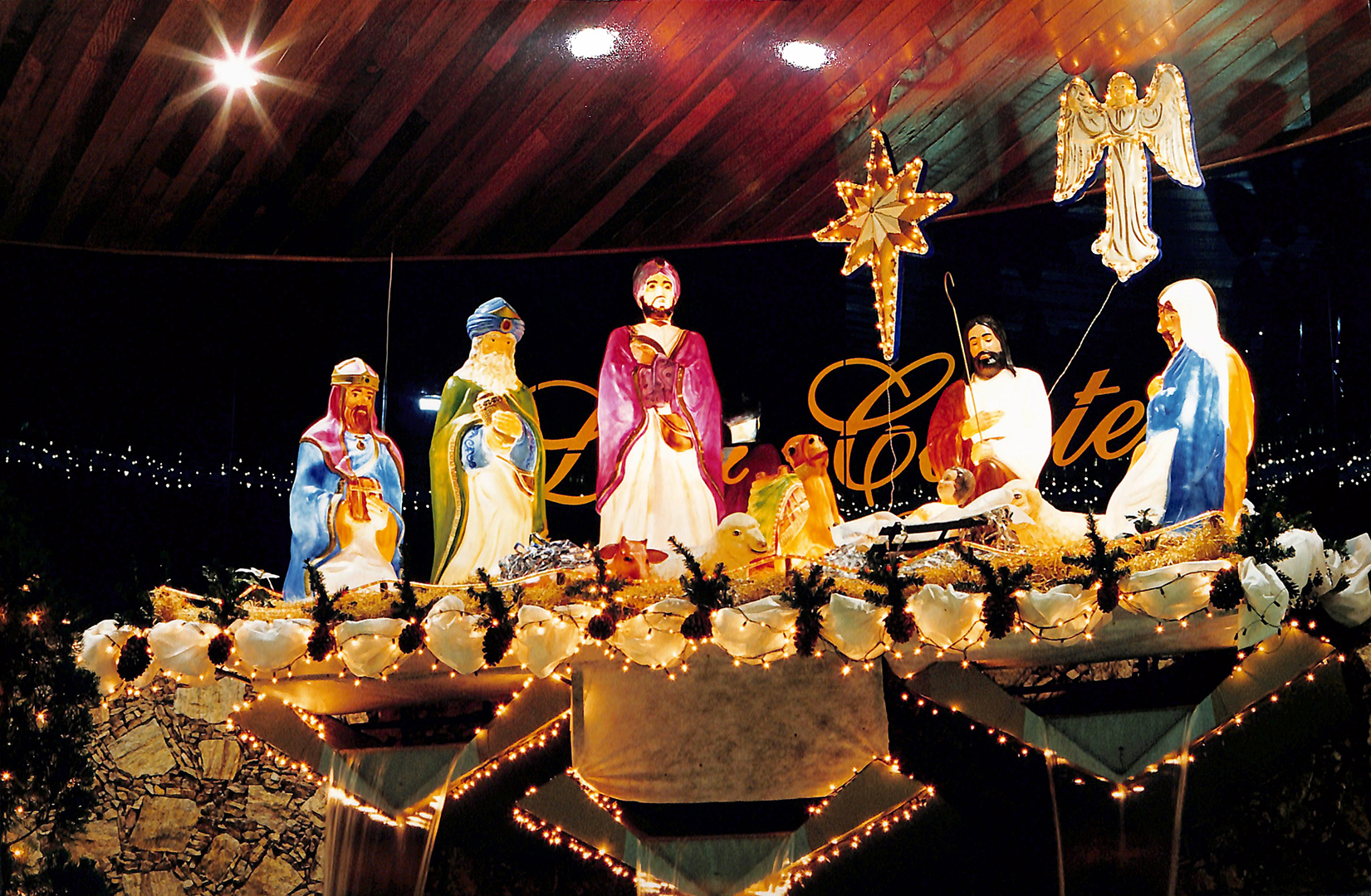 Imagem Fotos Soltas 255