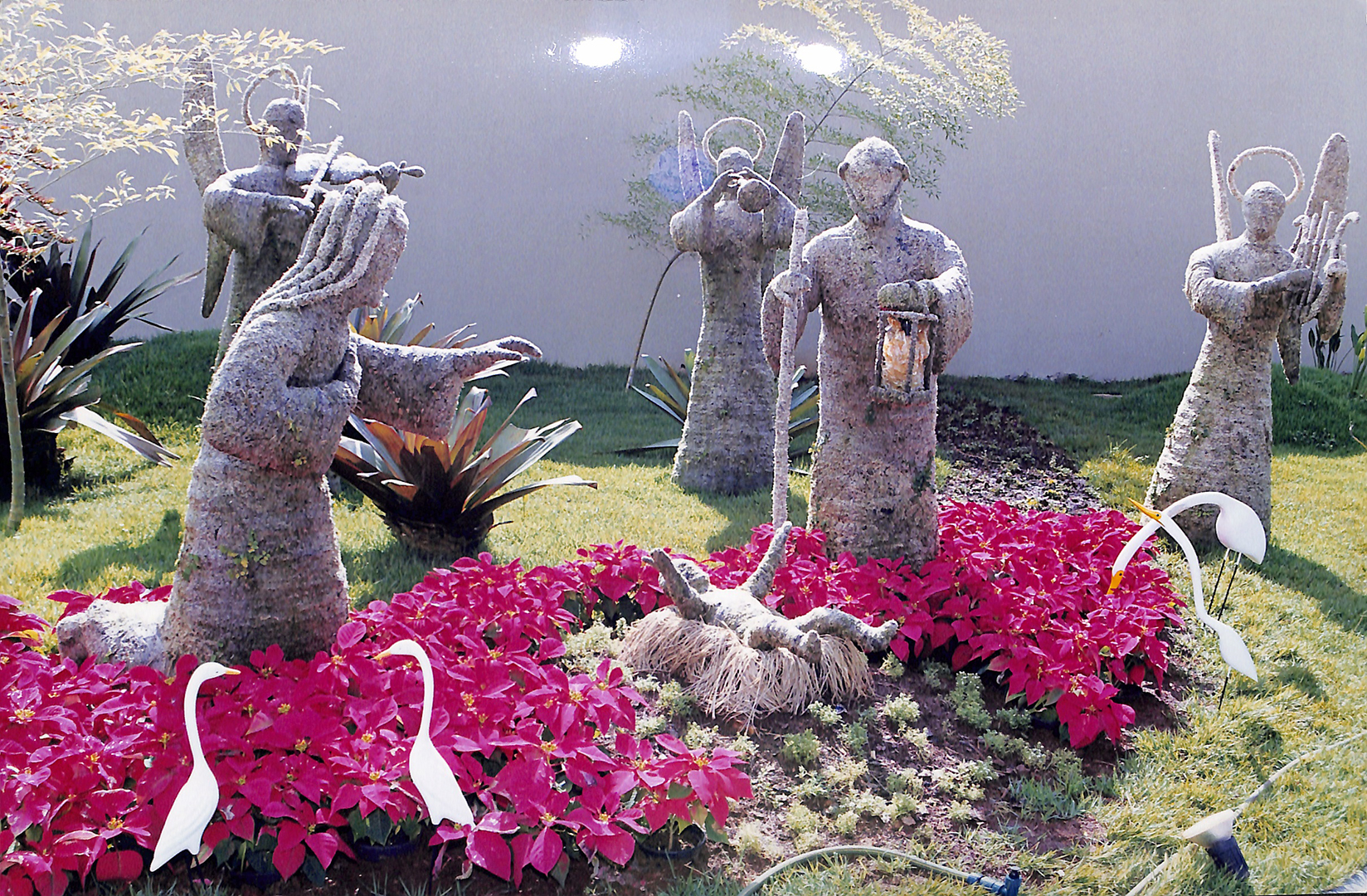 Imagem Fotos Soltas 257