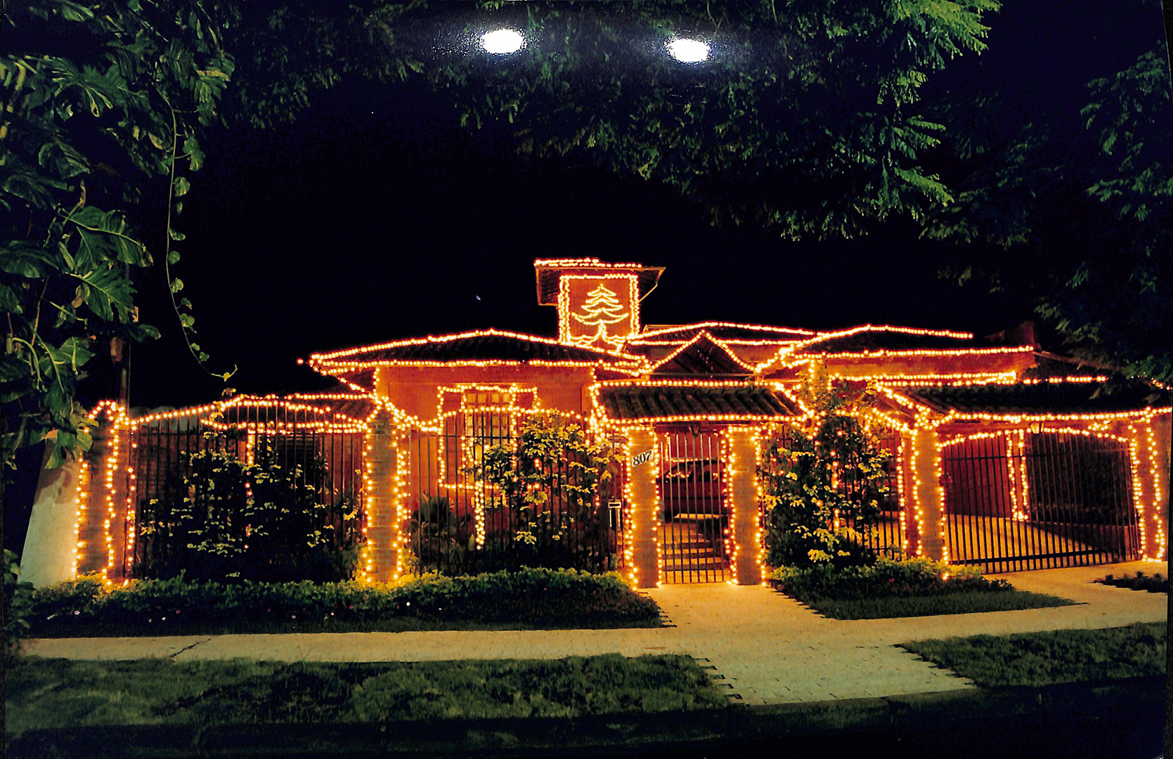 Imagem Fotos Soltas 259