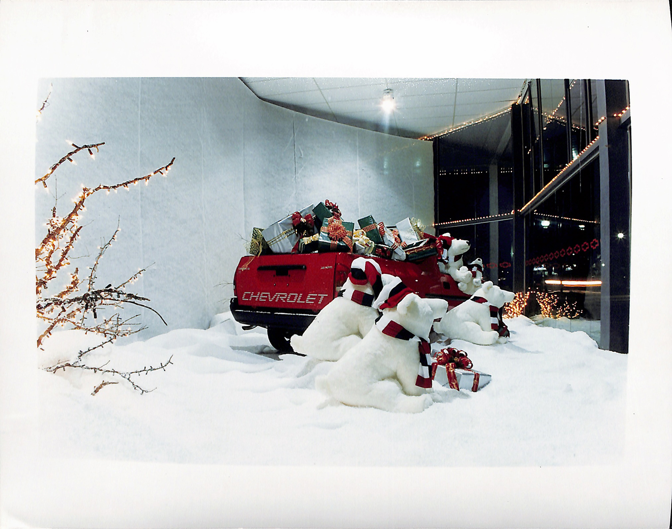 Imagem Fotos Soltas 263