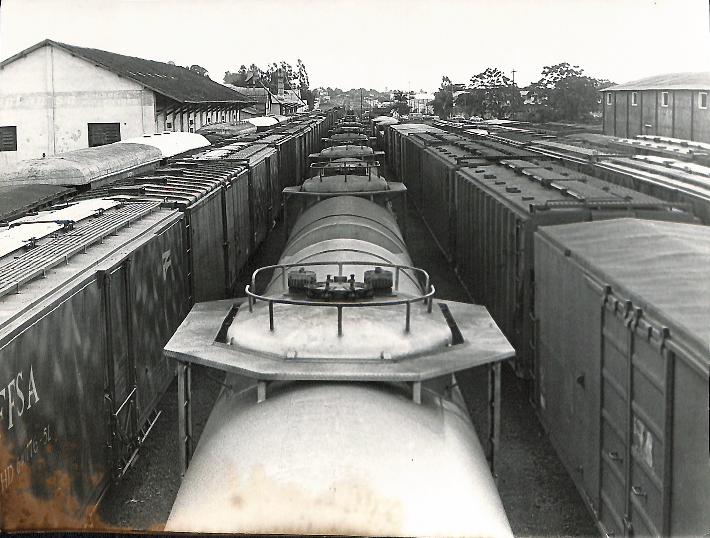 Imagem Fotos Soltas 365