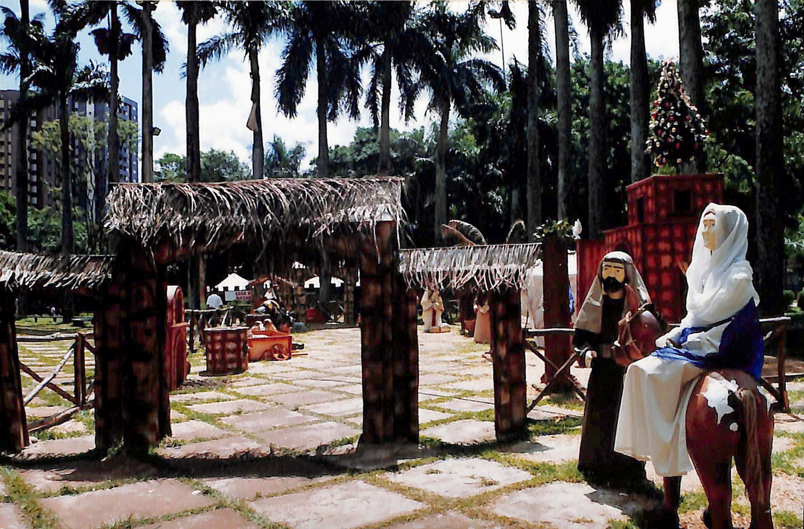 Imagem 6