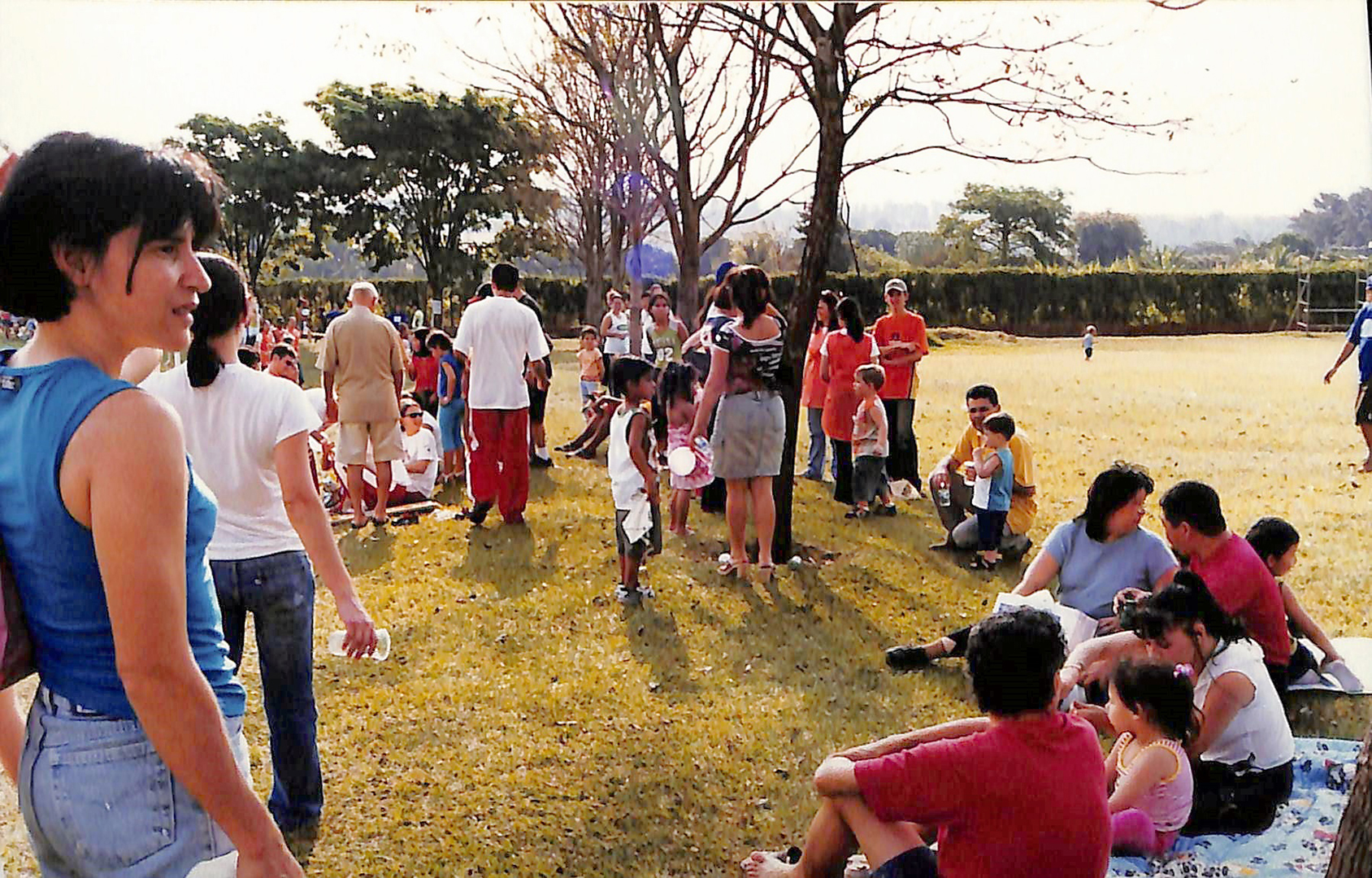 Imagem 7