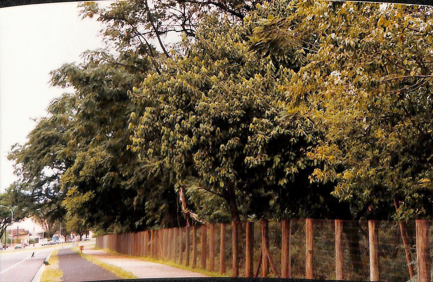 Imagem 11