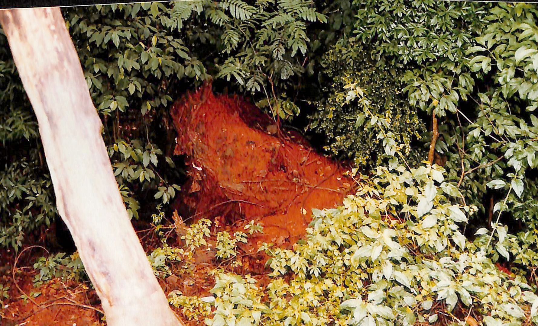 Imagem 12