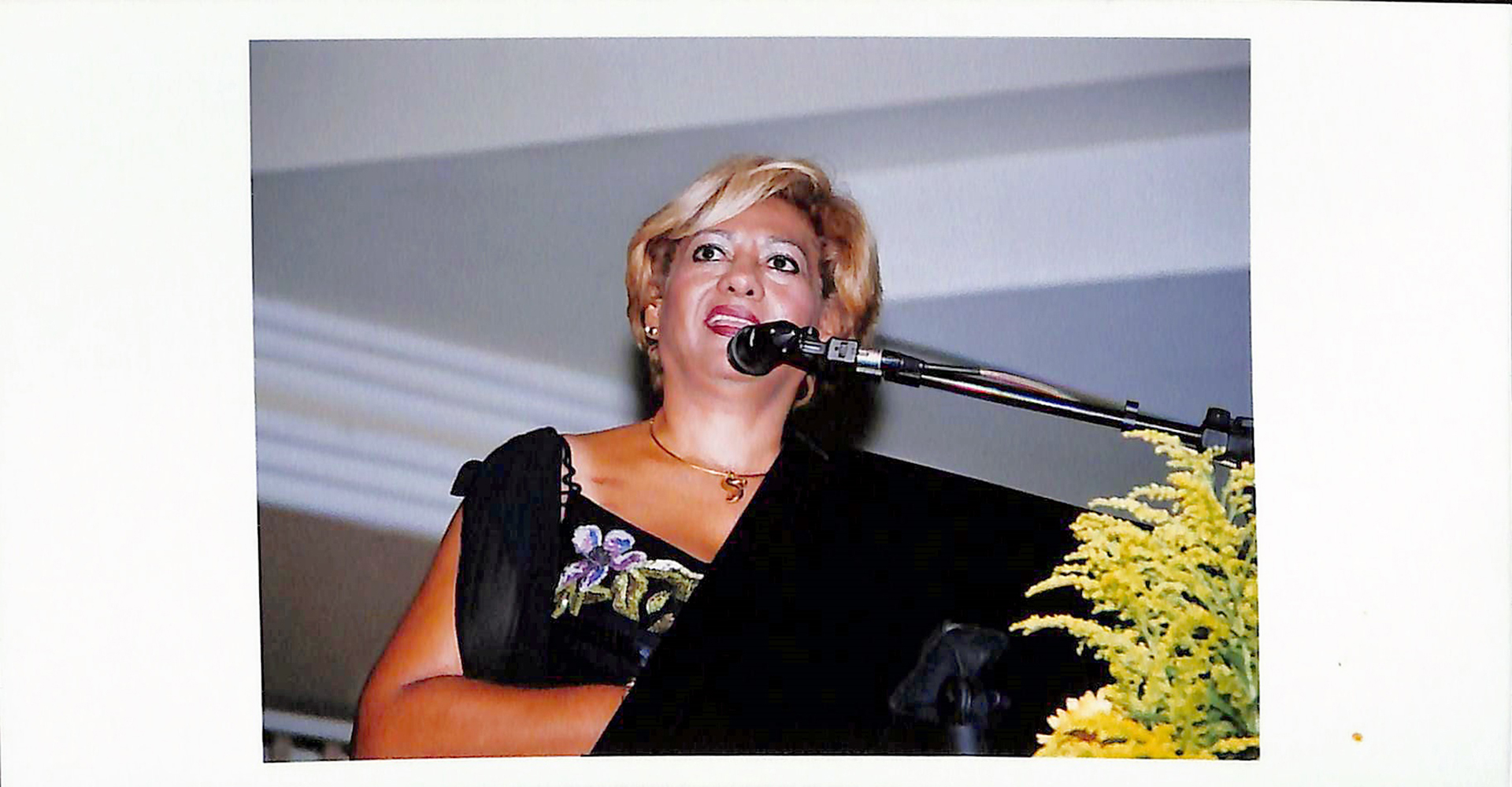 Imagem 11