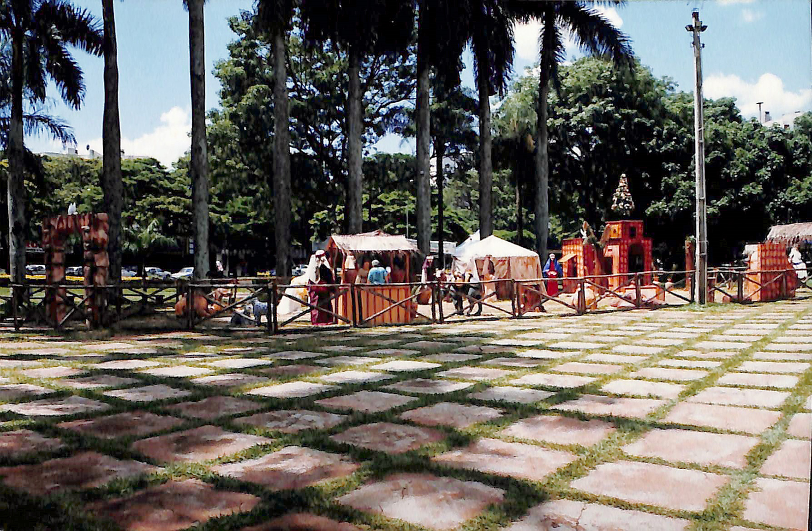 Imagem Fotos Soltas 11