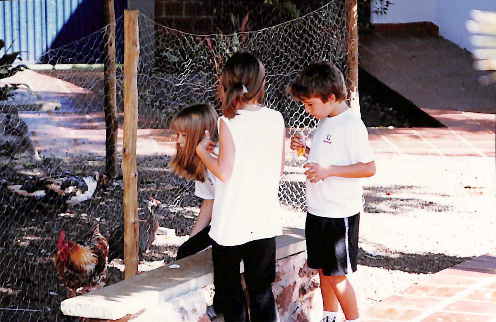 Imagem 13
