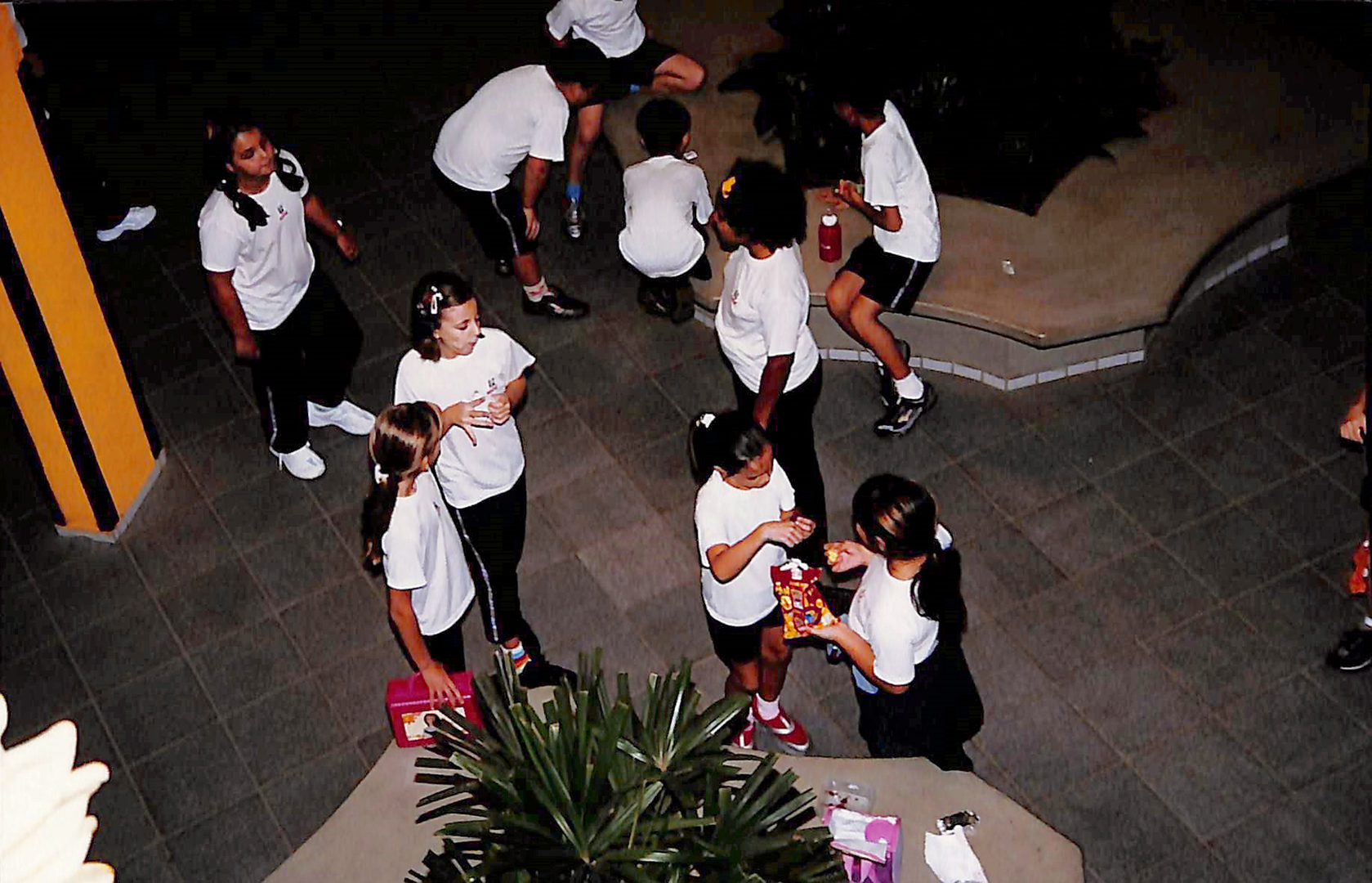 Imagem 17