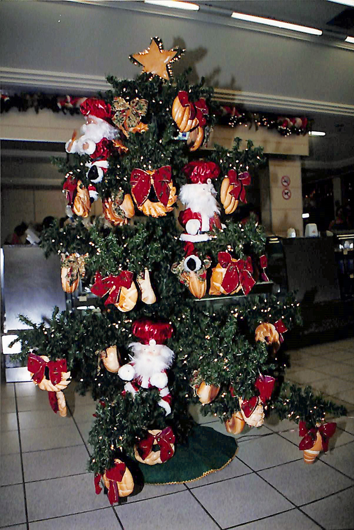 Imagem Envelope 448262 03