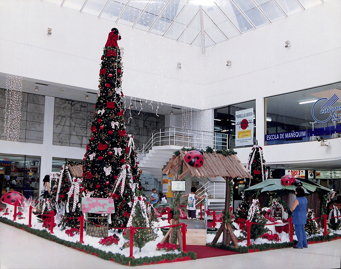 Imagem Fotos Soltas 224