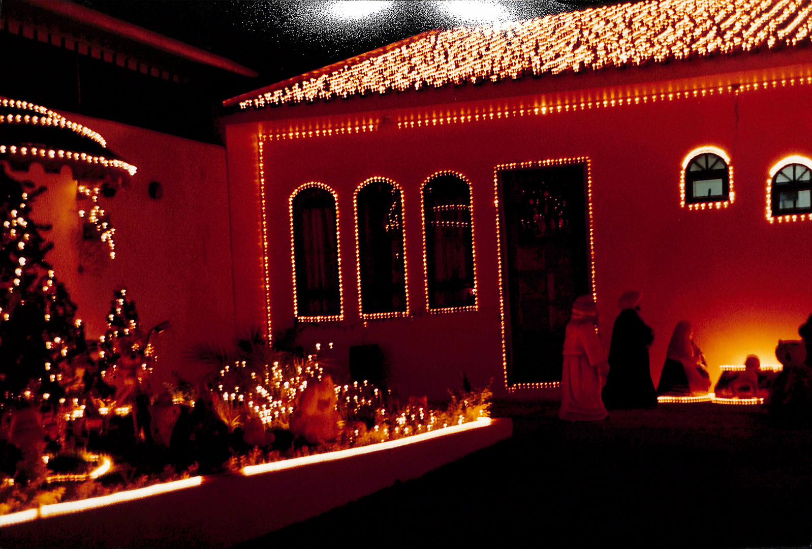 Imagem Fotos Soltas 248